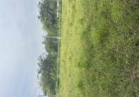 CẦN BÁN LÔ ĐẤT THỔ CƯ 100m2